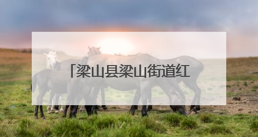 梁山县梁山街道红旗社区良嘉小区开展“艾草传情·粽暖人心”主题活动